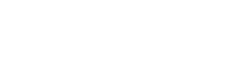변액보험title